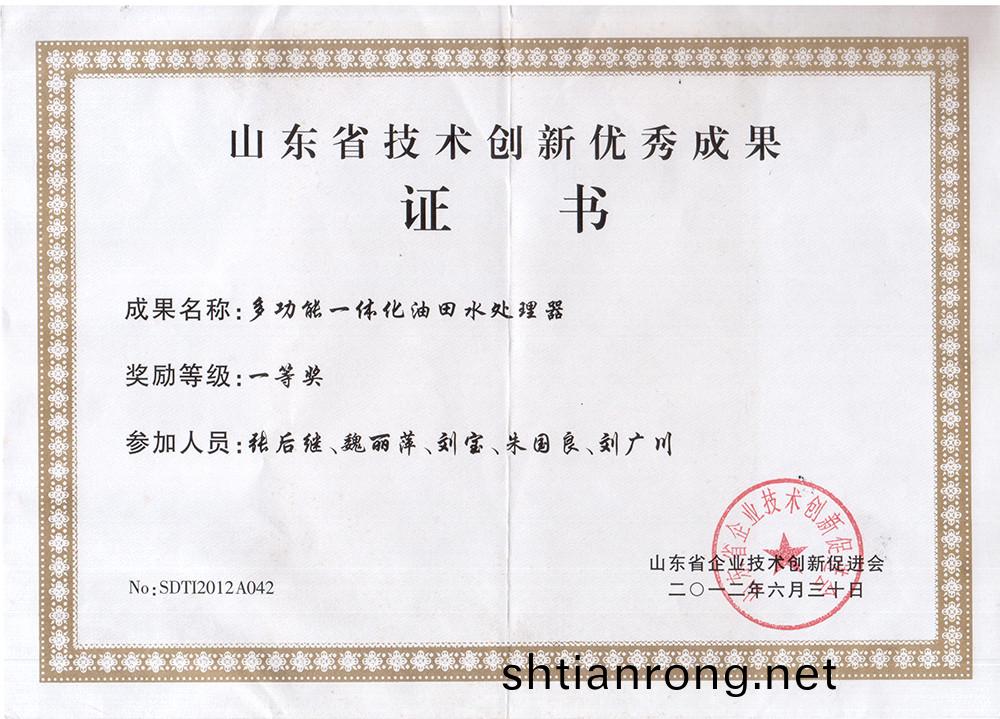 技(ji)術(shu)創新(xin)一等(deng)獎.jpg